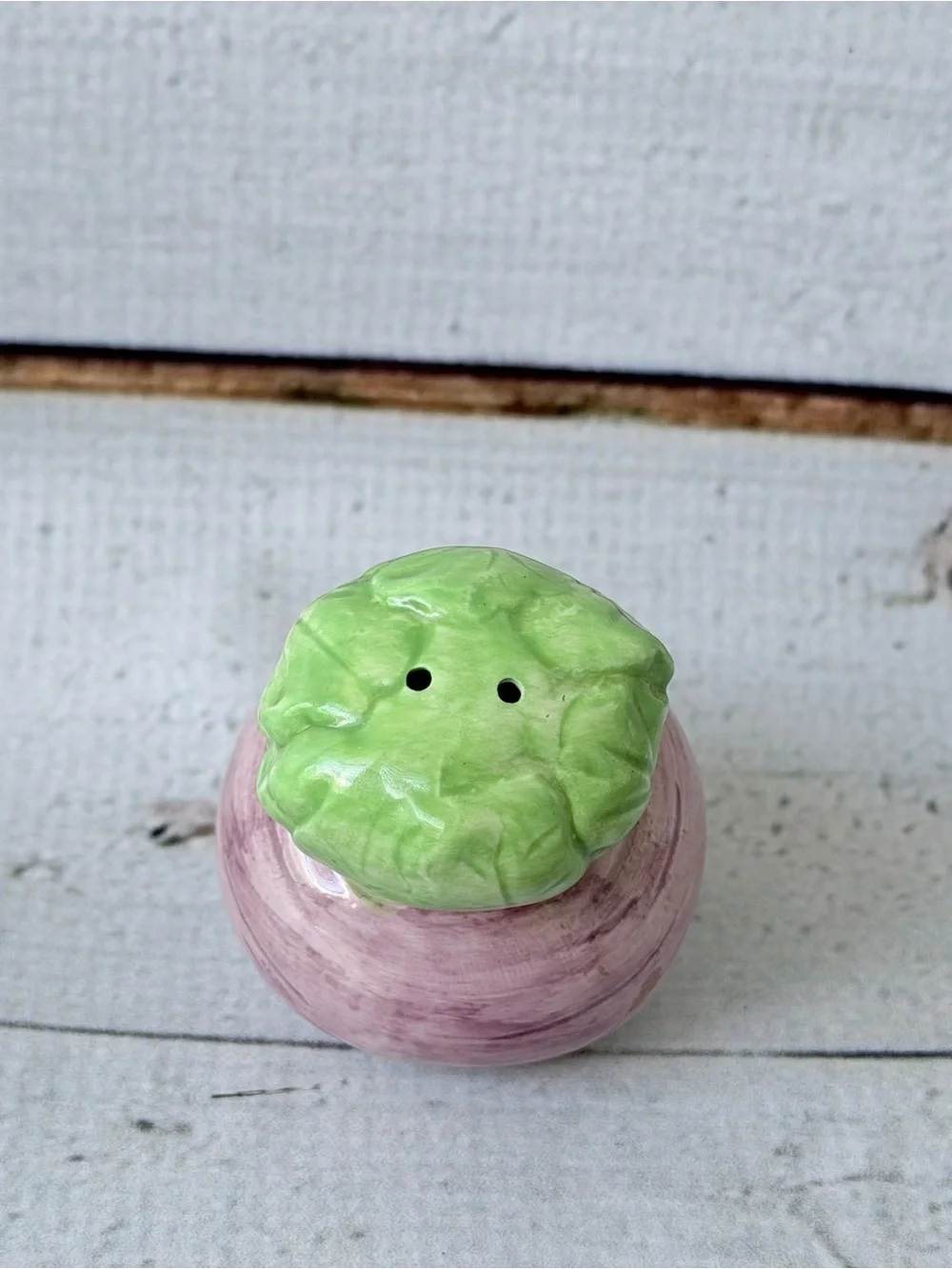 Ceramic Radish Salt and Pepper Shaker Set with Leaf Tray - Pink Green
